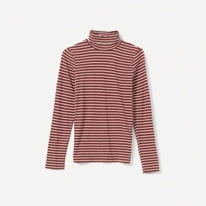 Everlane Cotton Turtleneck Tee